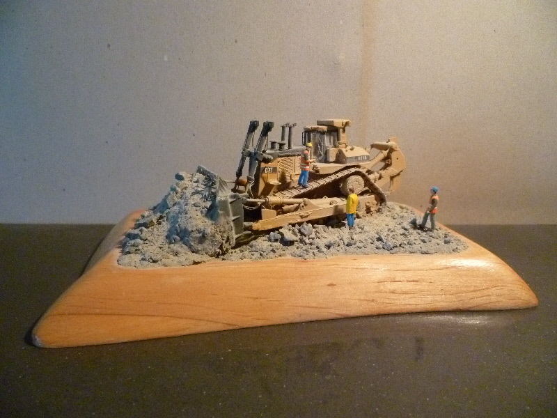 d11rholz  Custom ModelS.jpg