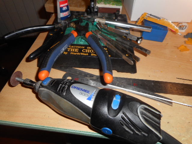 DSCN8256.JPG