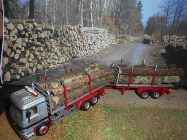 DSCN8267.JPG