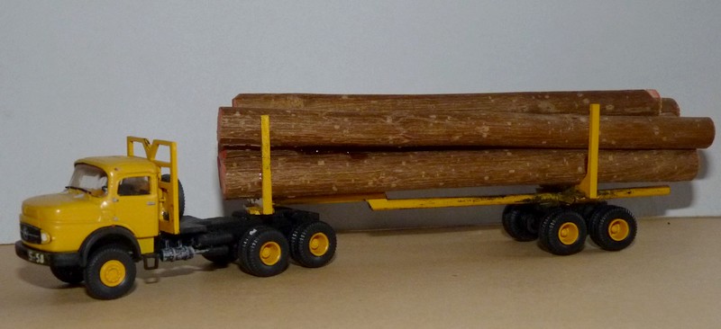 P1110747 (2).JPG