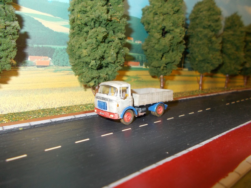 DSCN0329 - Copie.JPG