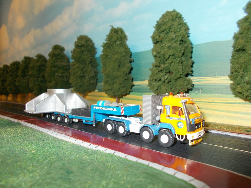 DSCN0343 - Copie.JPG