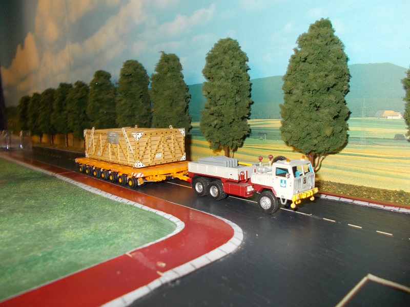 DSCN0339 - Copie.JPG