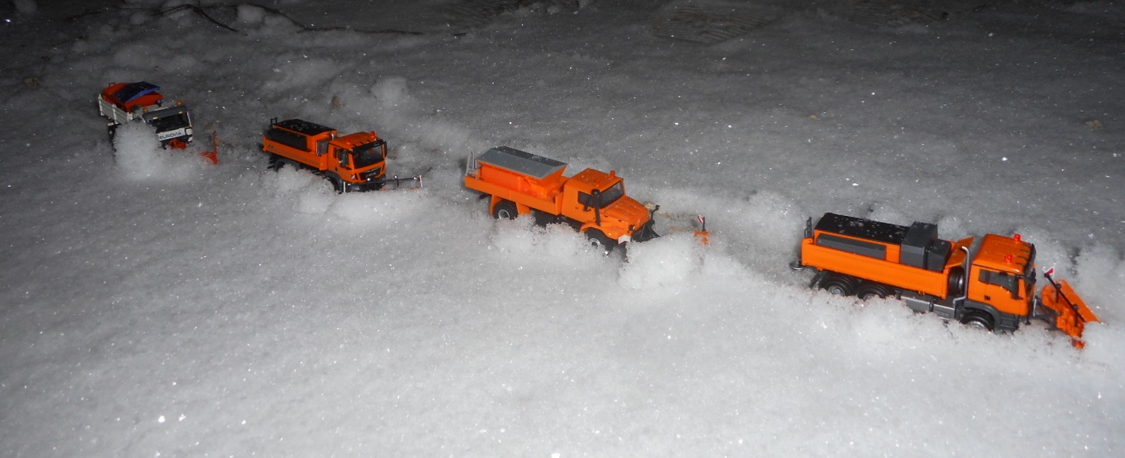 DSCN8709 - Copie.JPG