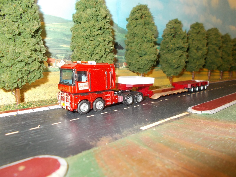 DSCN0392 - Copie.JPG