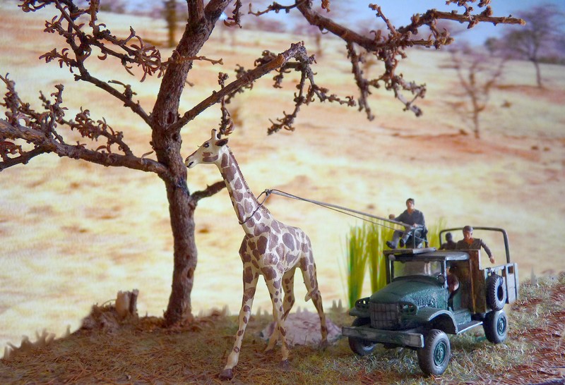 l'Afrique tropicale ...