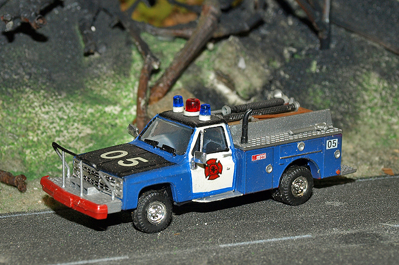 P4255781.JPG