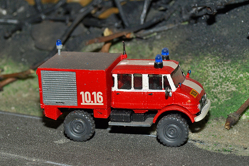 P4255763.JPG