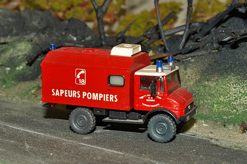 P4285822.JPG