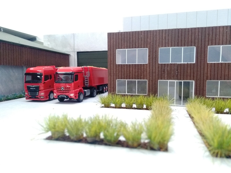 P1.jpg