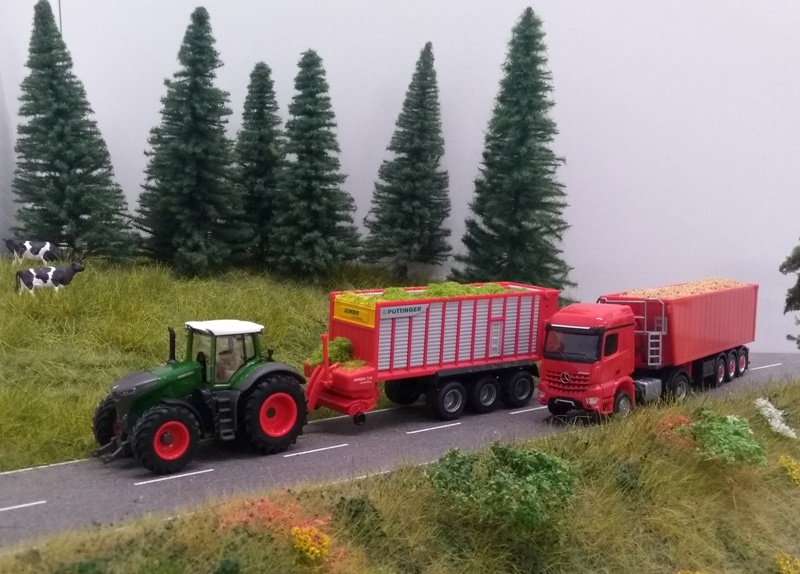 P5.jpg