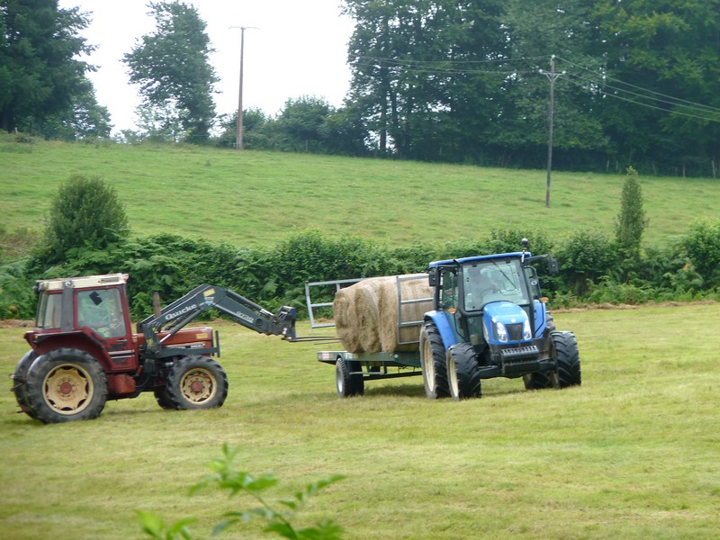 P1130117 - Copie.JPG