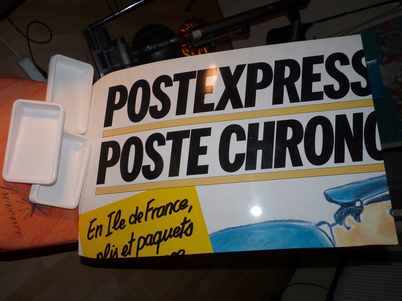P1130444.JPG