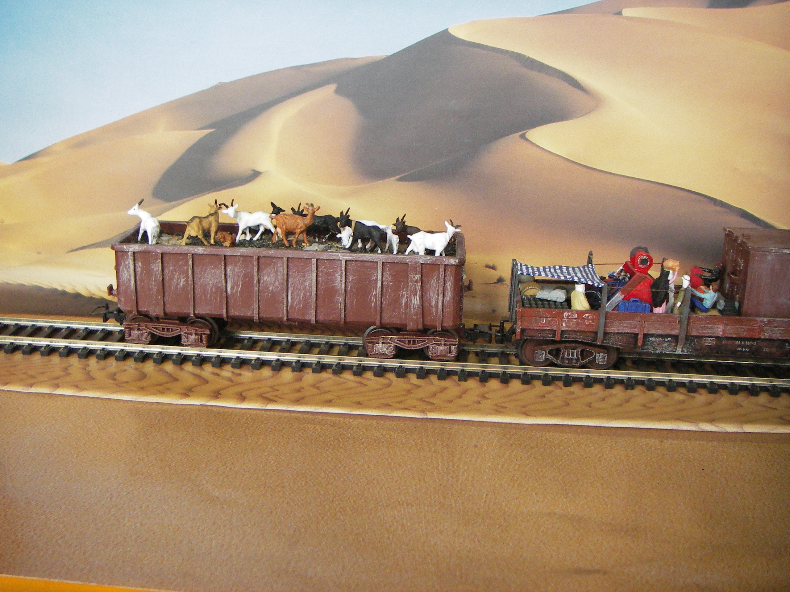 train5.JPG