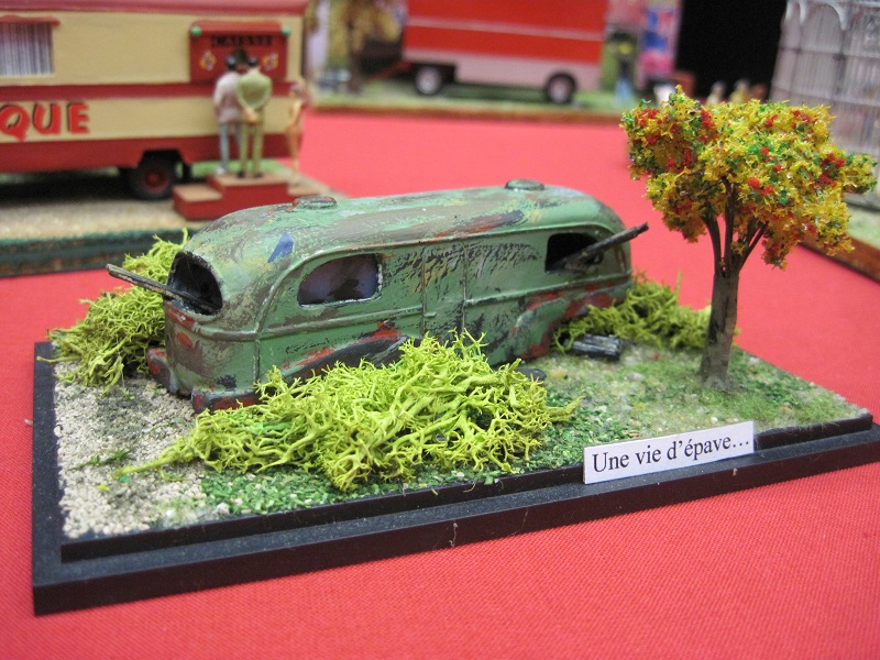 maquette aubevoye cirque 2014 (1).JPG