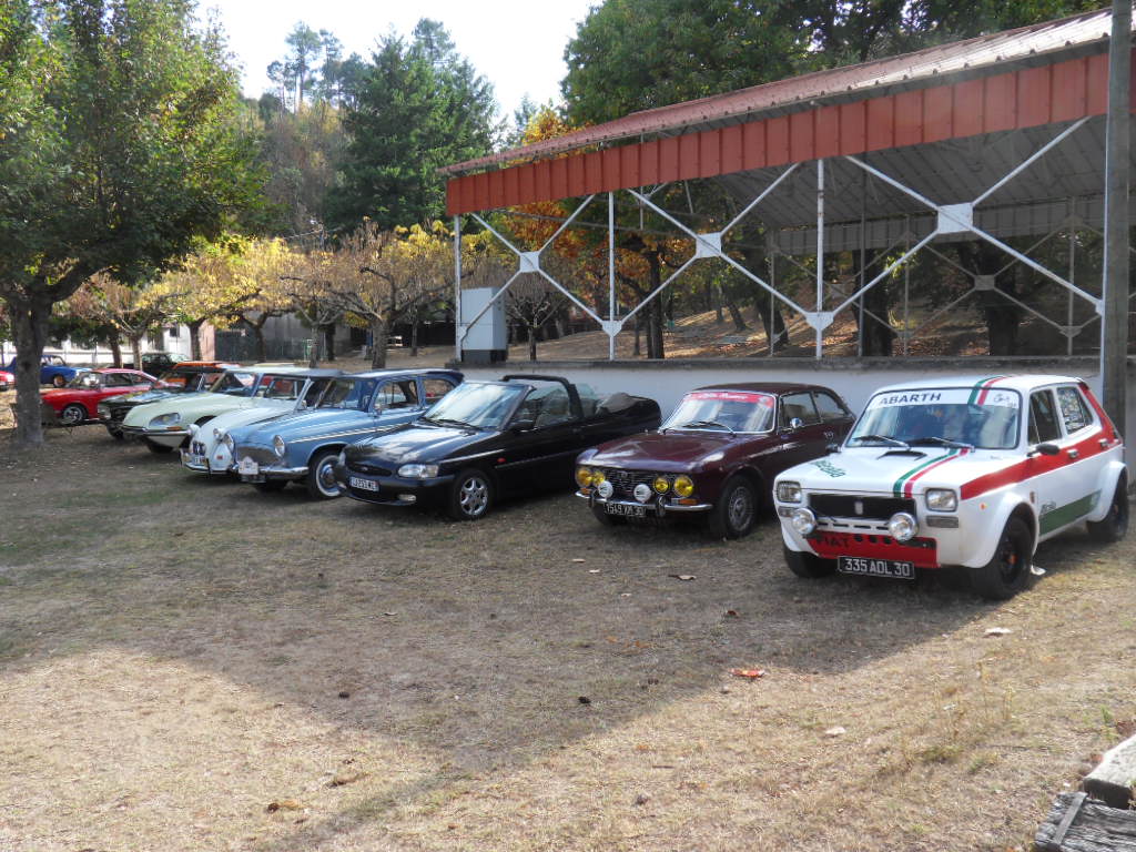 SDC13965.JPG