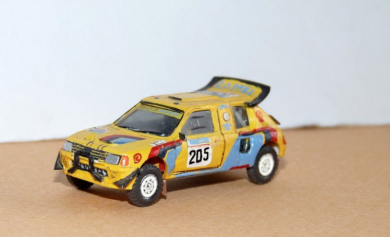 P1130573 - Copie.JPG