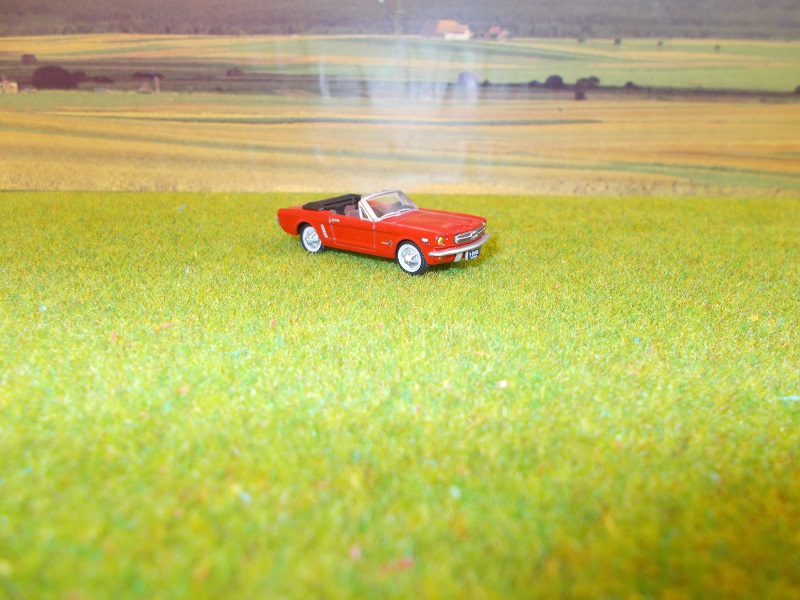 DSCN0711.JPG