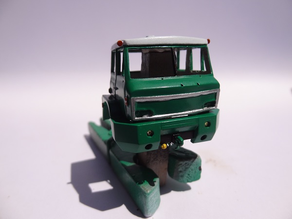 DSC00490 - Copie.JPG