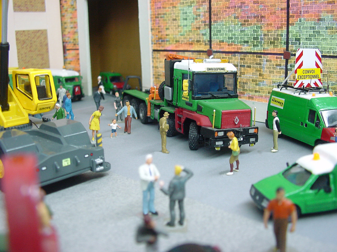 Spécial SIMTREX, résultat d'un croisement Magnum/CBH. Nous n'avons, hélas pas, de photos de l’accouplement !