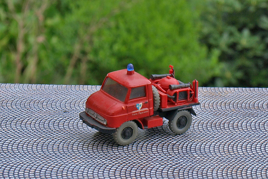 P4297407.JPG