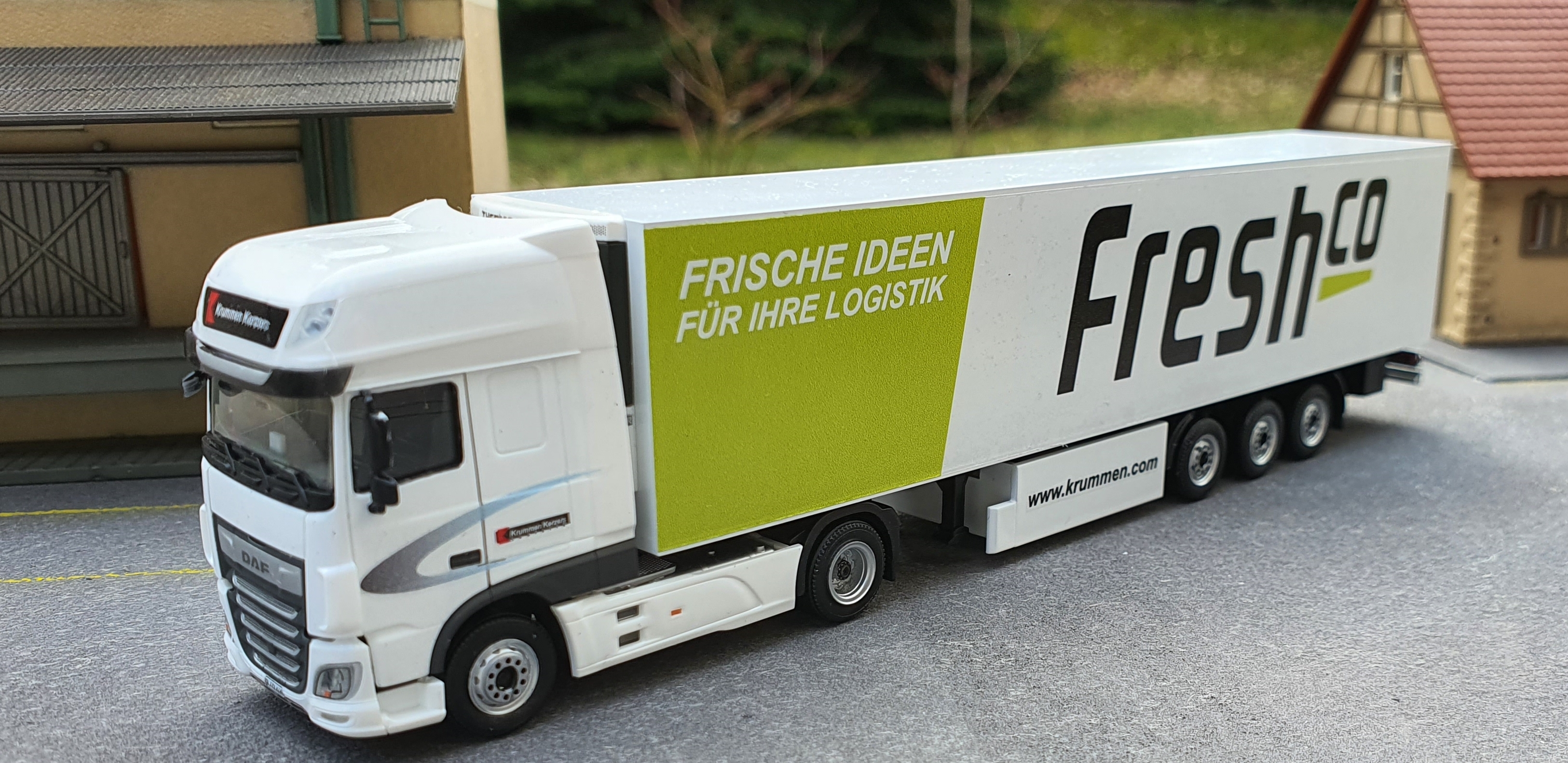 daf_fresh1.jpg