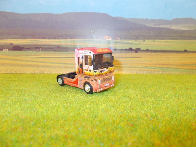 DSCN0892 - Copie.JPG