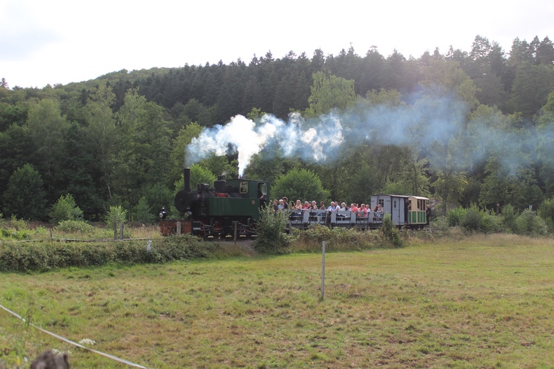 2019 08 10 (298) (Copier).JPG
