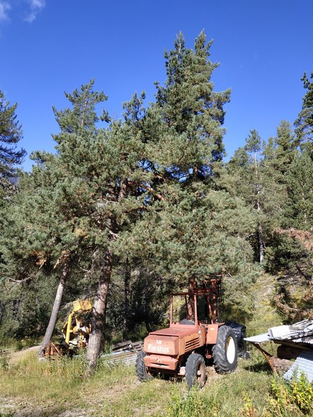 2019 09 05 (6) (Copier).jpg