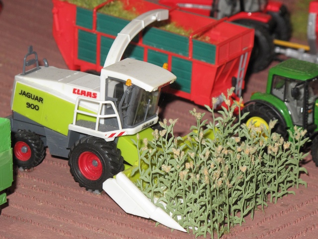 Claas ensileuse maïs Jaguar 900.JPG