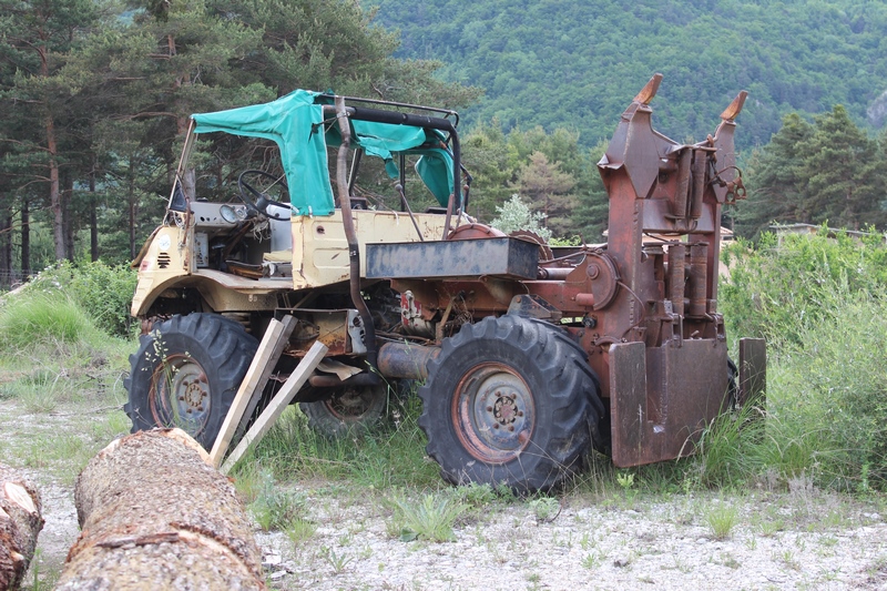 2017 05 (79) (Copier).JPG