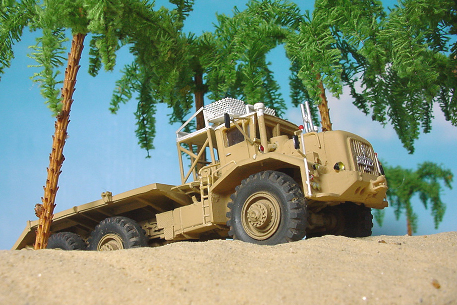 BERLIET T100 SOUS LES PALMIERS,BIS .JPG