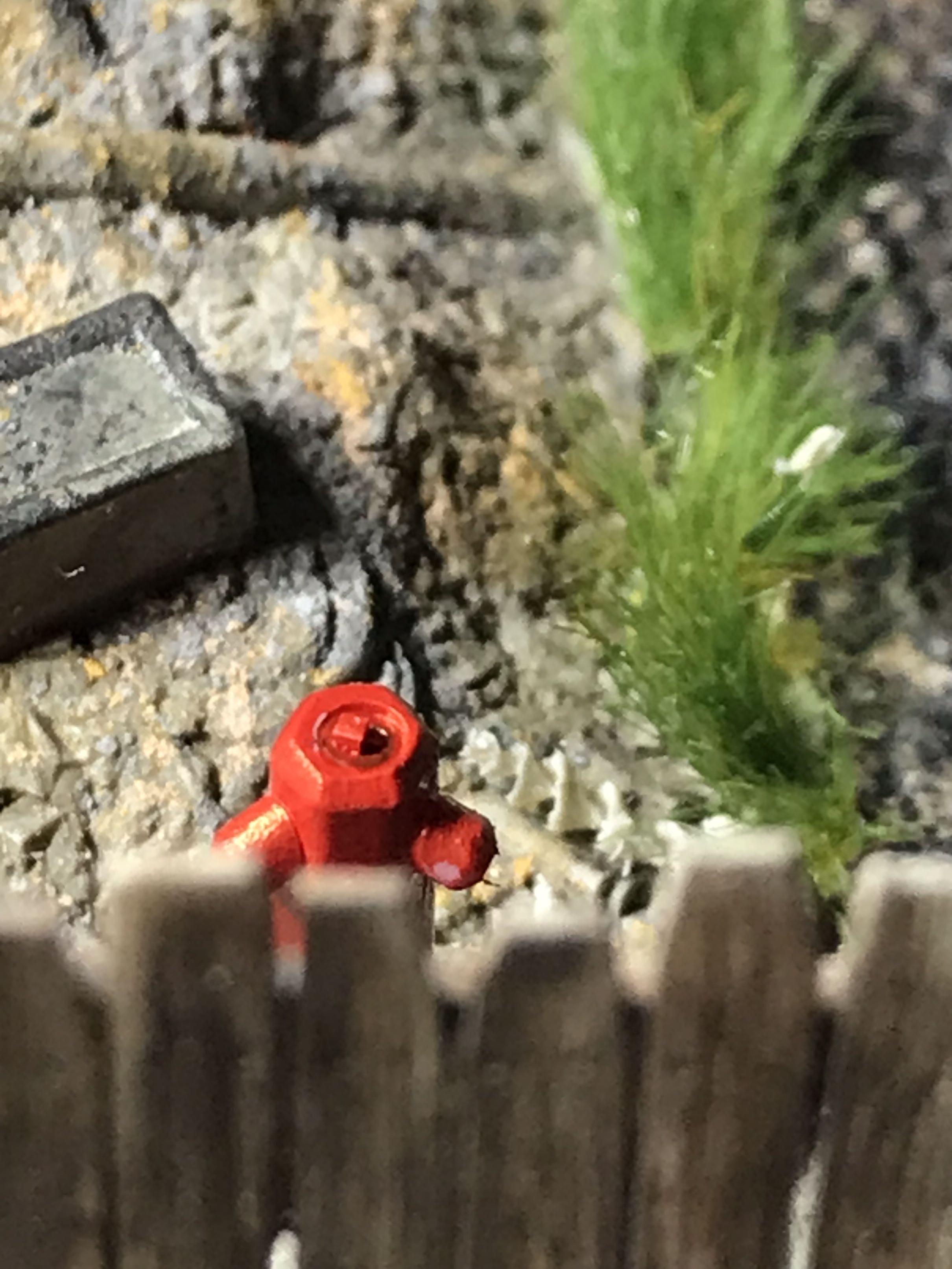 45B0EE07-84BF-415E-8761-7A0C42525072.jpeg