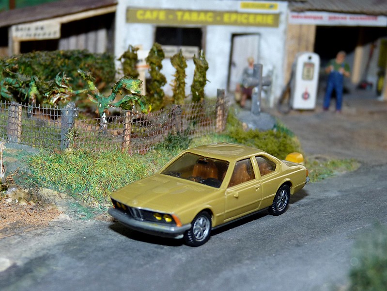 P1160372 - Copie.JPG