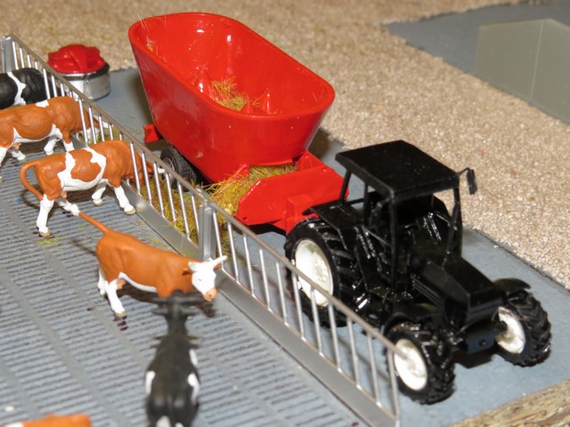 IMG_2174 (Copier).JPG