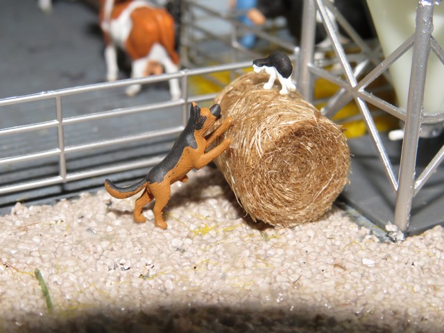 IMG_2221 (Copier).JPG