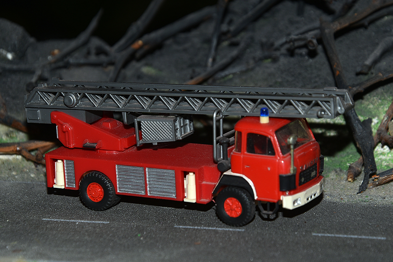 DSC_0837.JPG
