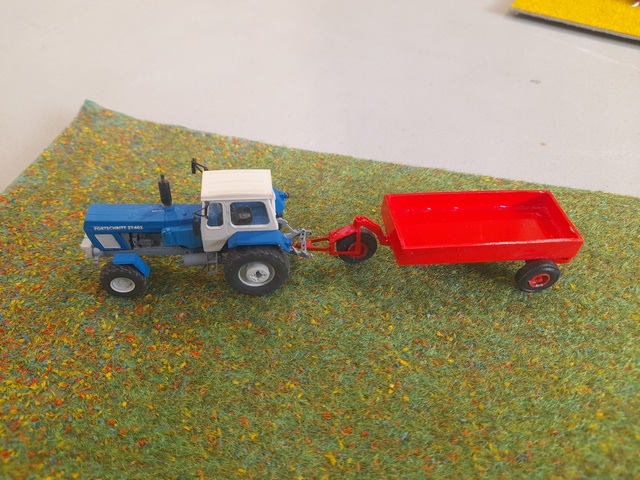 20241005_144032 (Copier).jpg