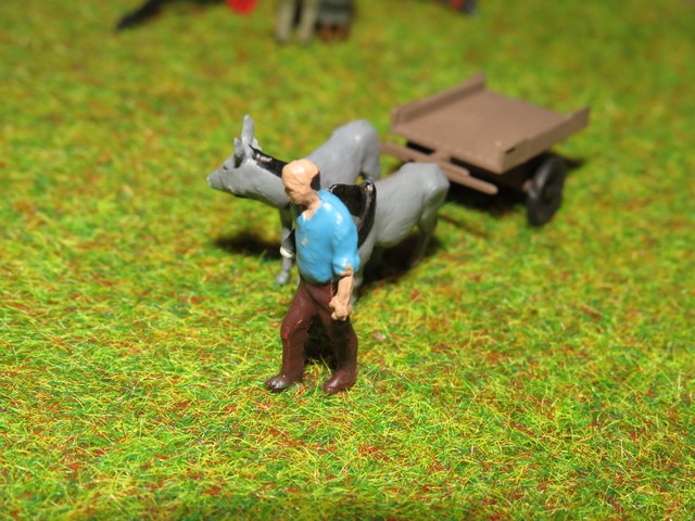 IMG_1981 (Copier).JPG