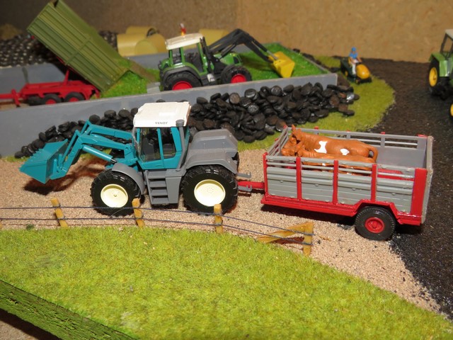 IMG_3144 (Copier).JPG