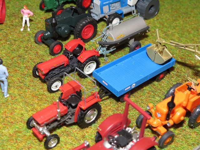 IMG_3146 (Copier).JPG