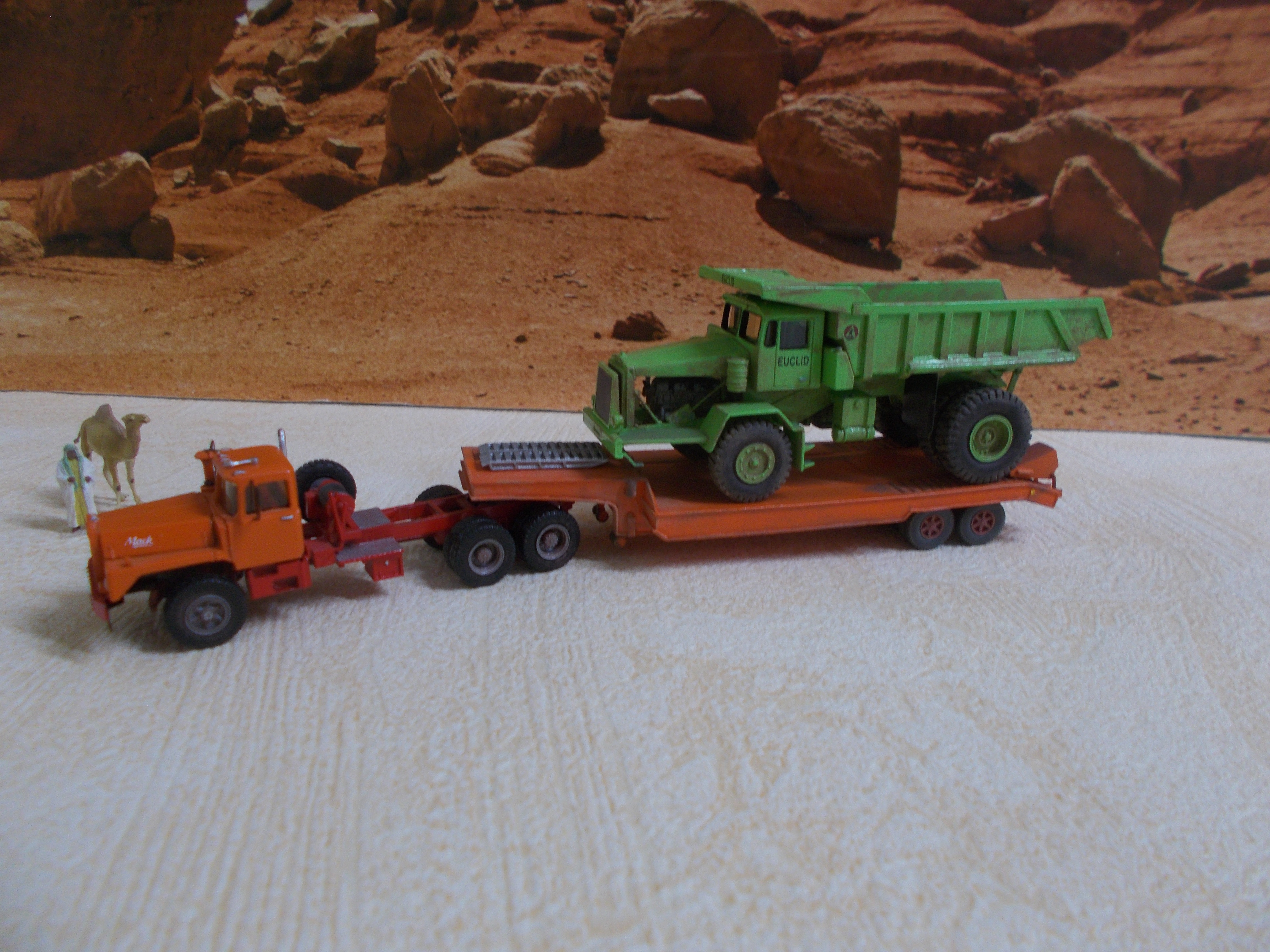 DSCN2164 - Copie.jpg