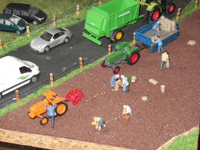 corvée de pommes de terre.JPG