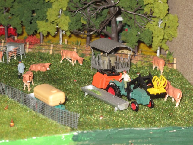 distribution d'ensilage.JPG