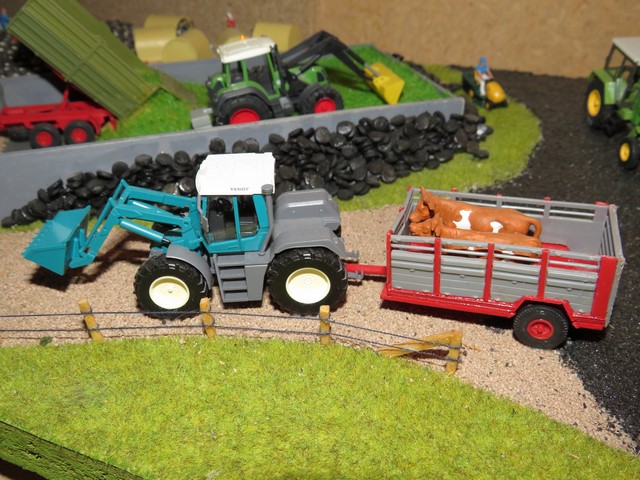 IMG_3145 (Copier).JPG