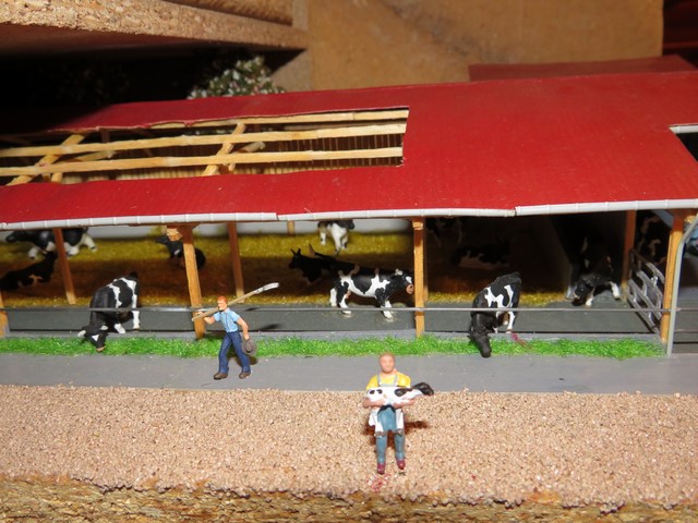 IMG_3221 (Copier).JPG