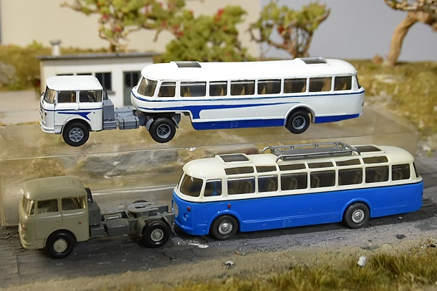 DSC_0503.JPG