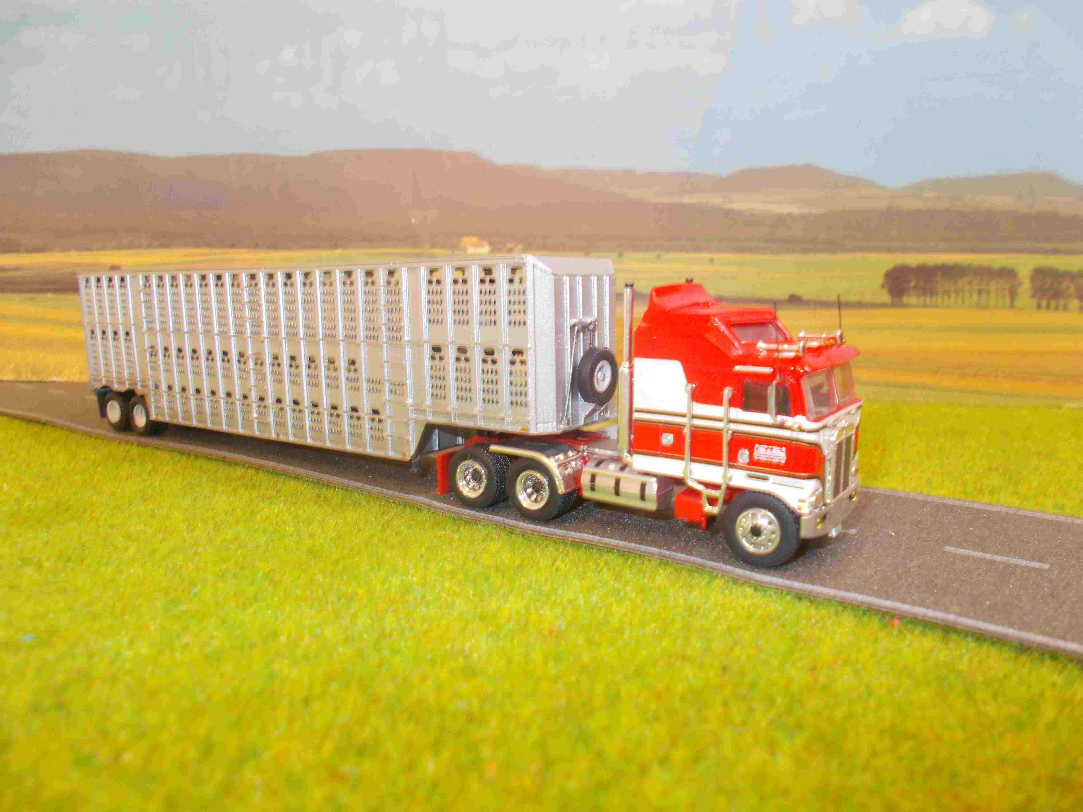 DSCN2338 - Copie.JPG