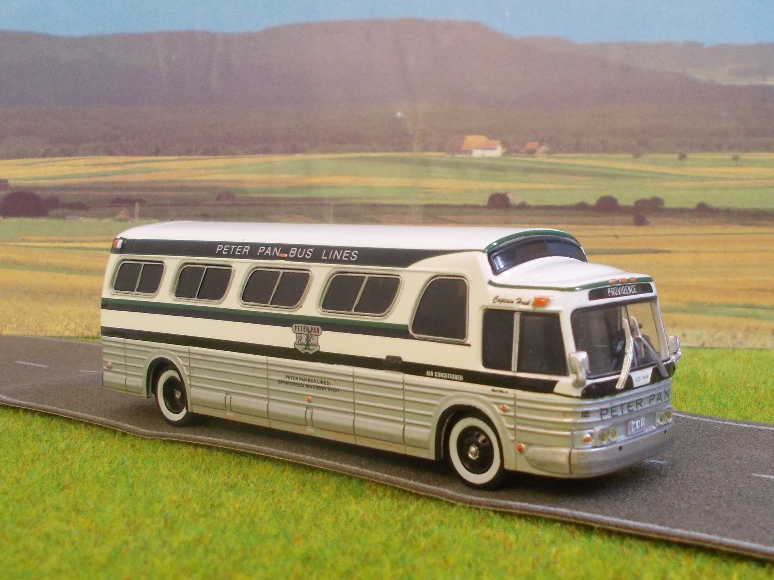 DSCN2335 - Copie.JPG