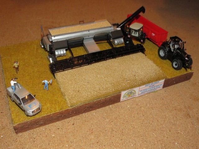 IMG_3993 (Copier).JPG